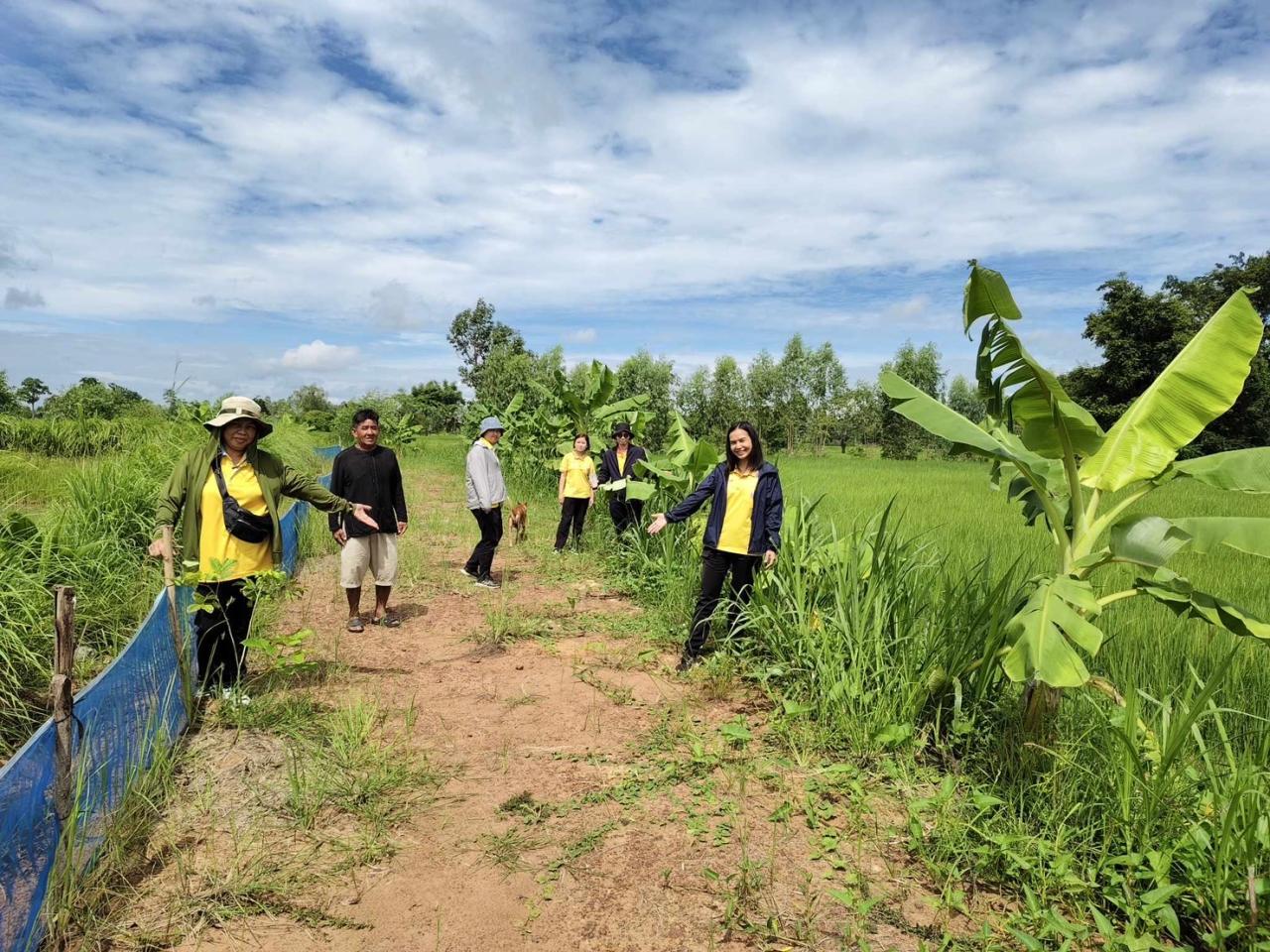 ภาพประกอบที่ 1
