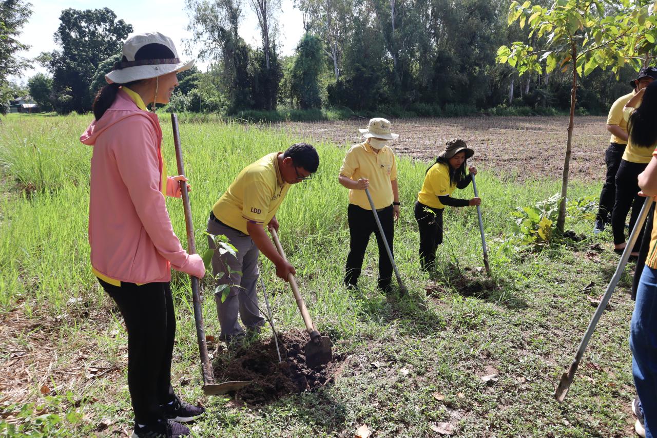 ภาพประกอบที่ 2