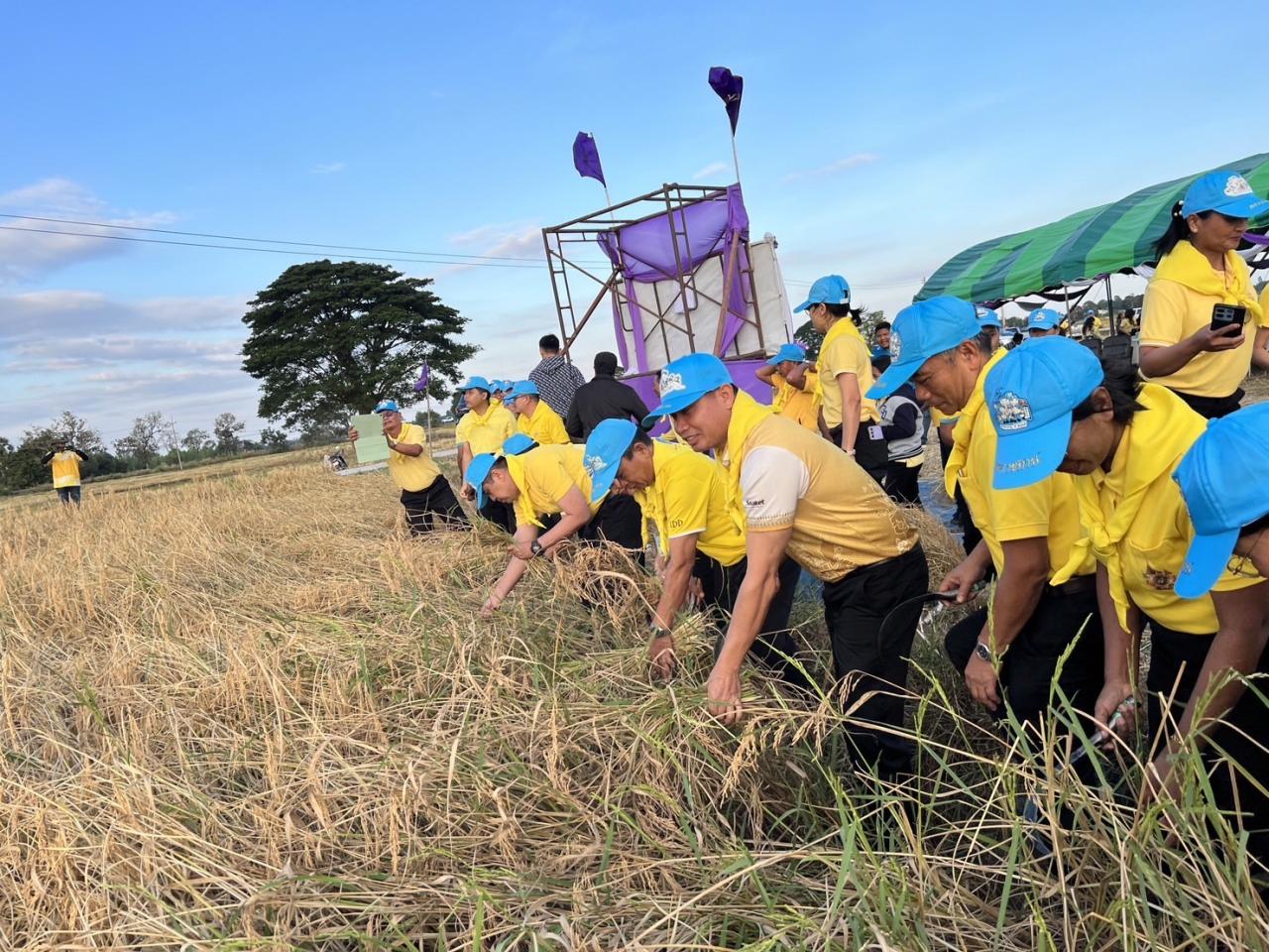 ภาพประกอบที่ 8