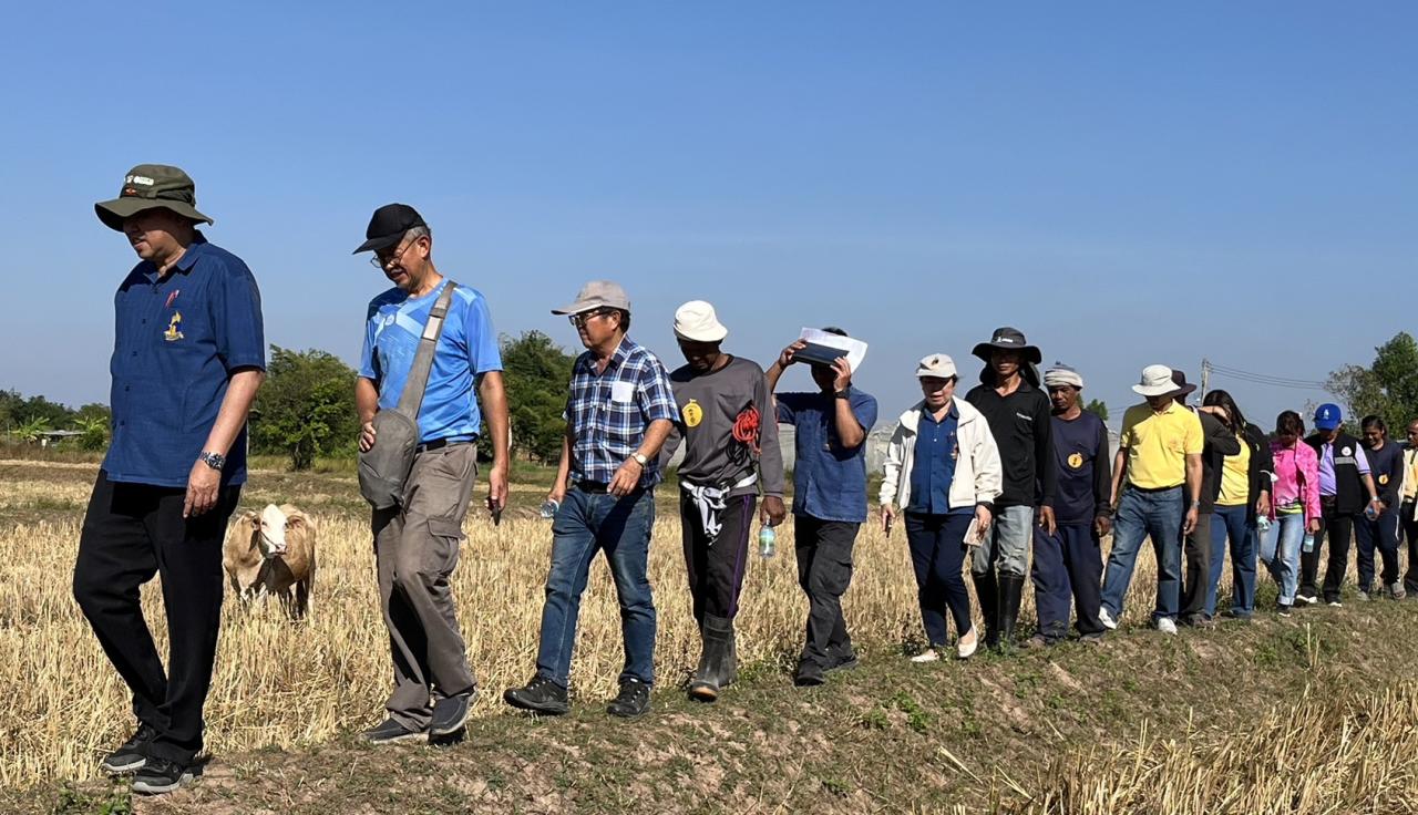 ภาพประกอบที่ 11