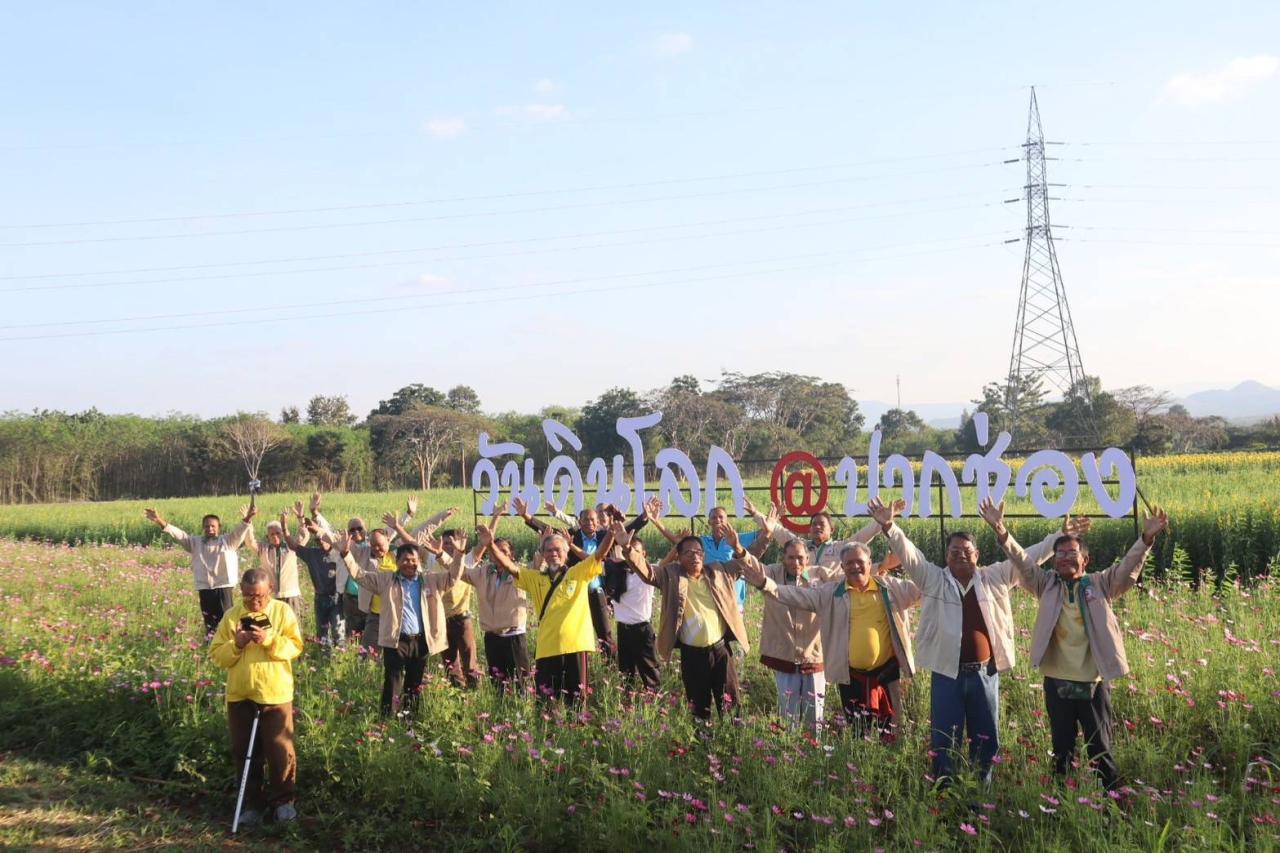 ภาพประกอบที่ 7