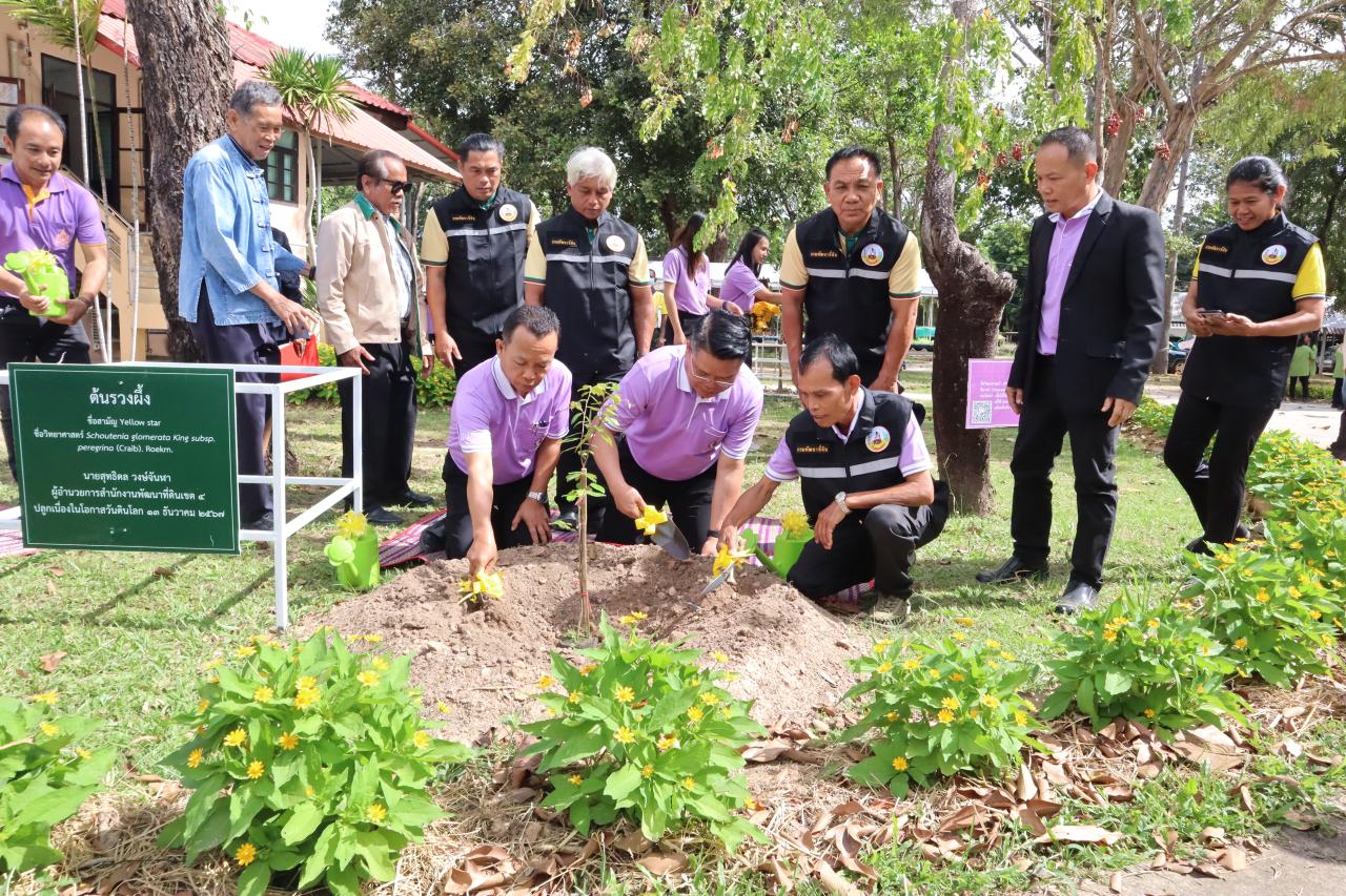 ภาพประกอบที่ 5