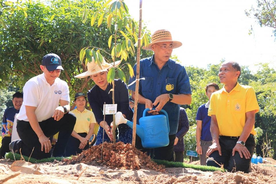 ภาพประกอบที่ 6