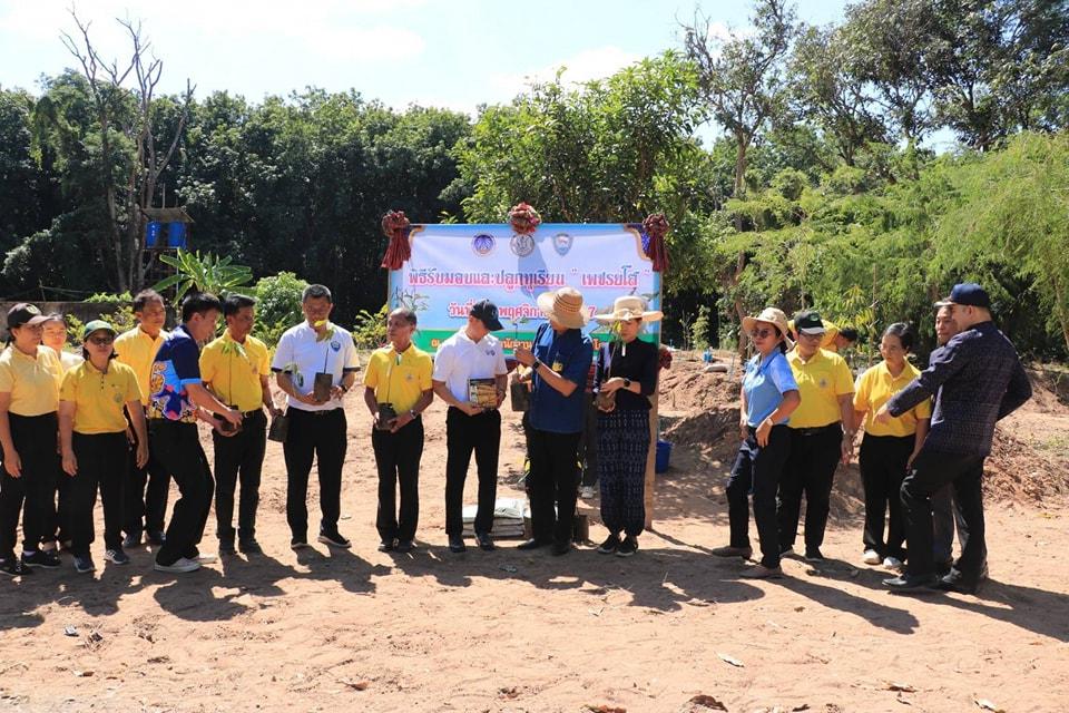 ภาพประกอบที่ 7