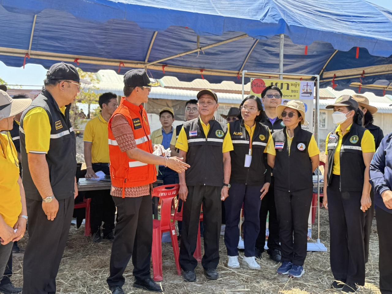 ภาพประกอบที่ 12