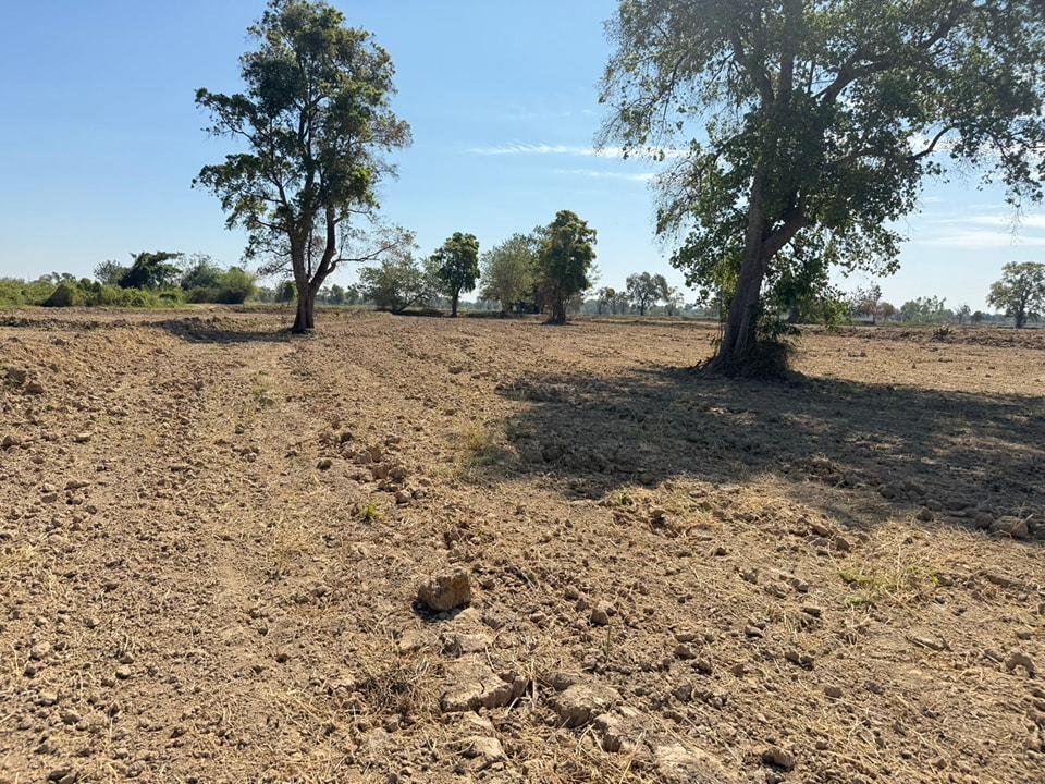 ภาพประกอบที่ 7