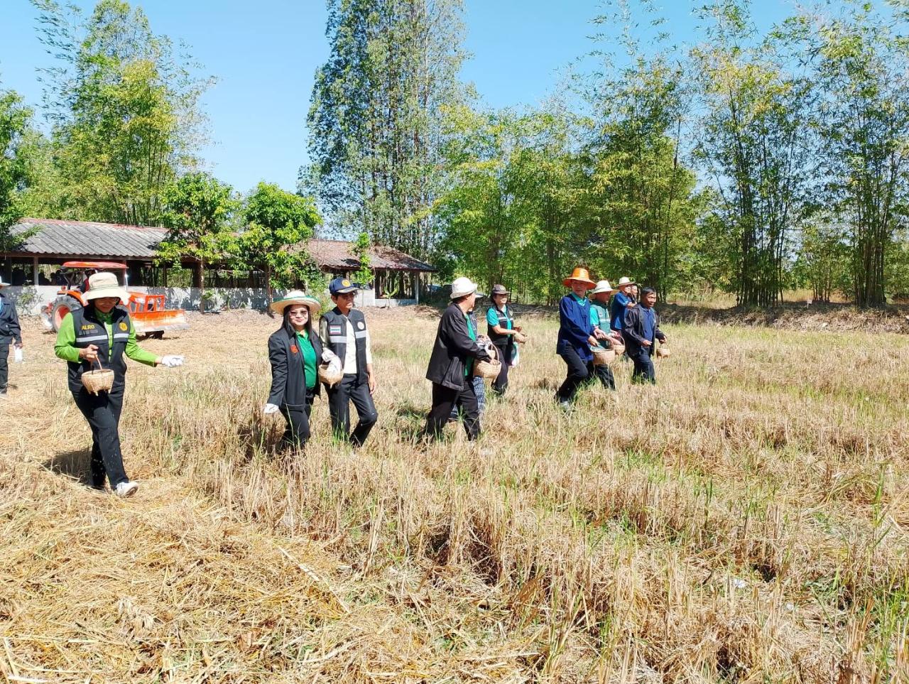 ภาพประกอบที่ 4