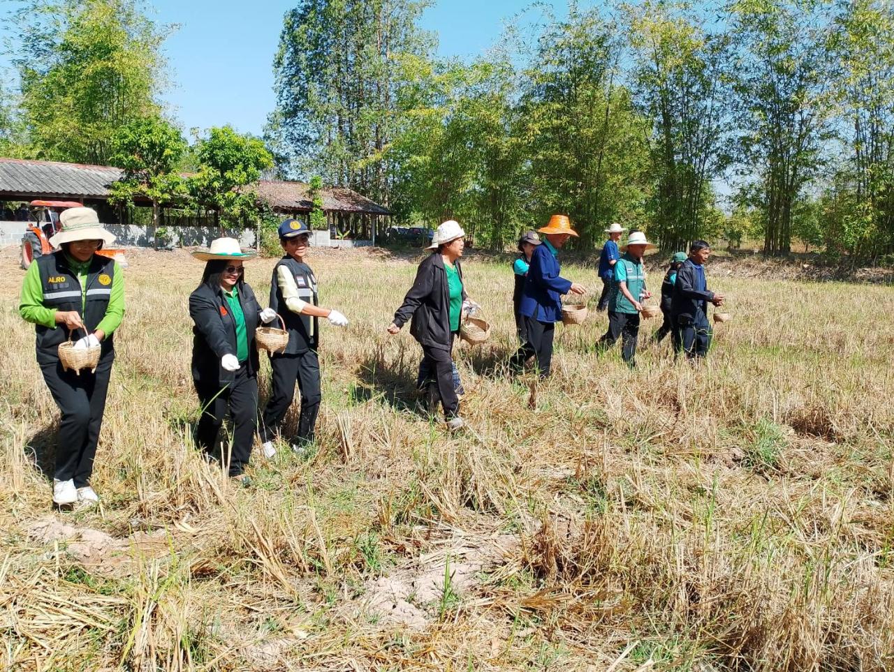 ภาพประกอบที่ 5