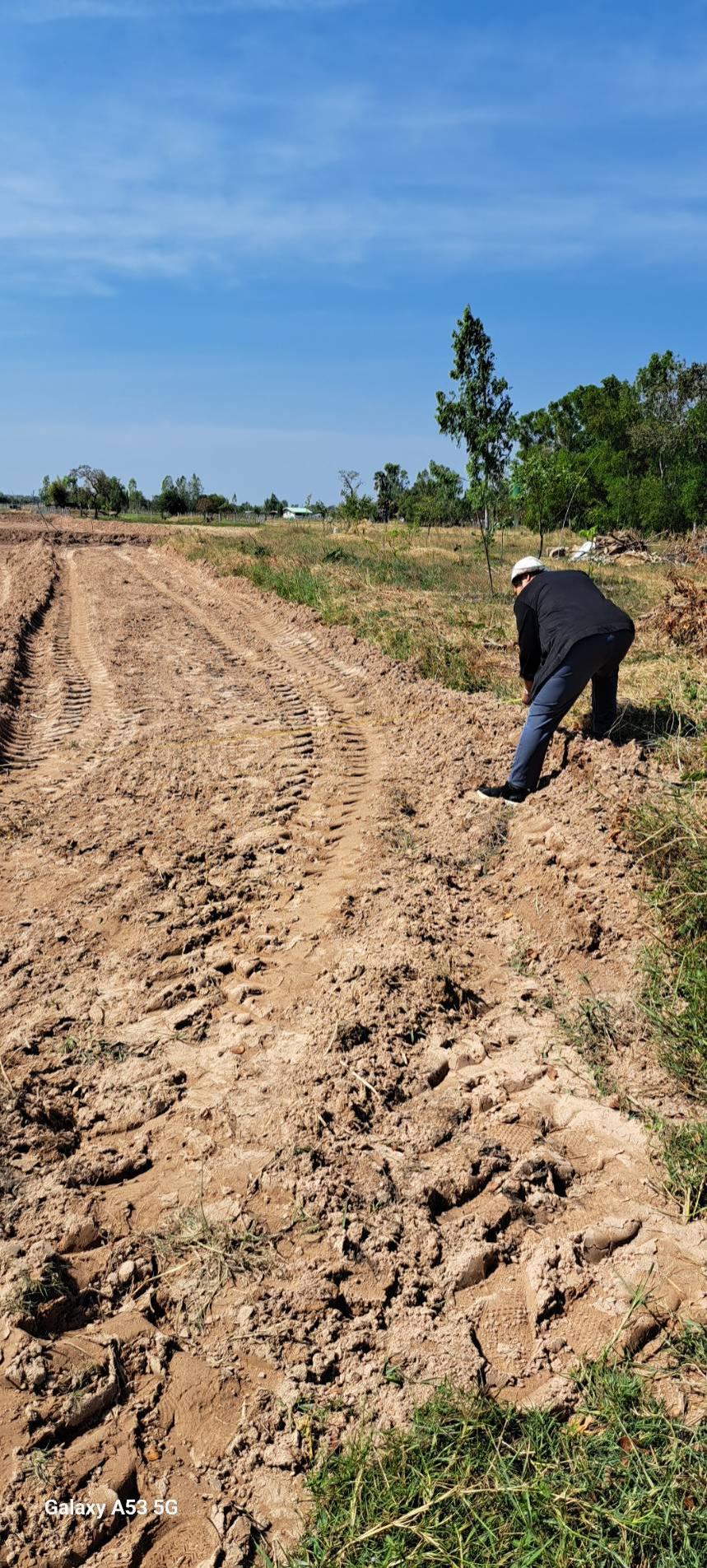ภาพประกอบที่ 8