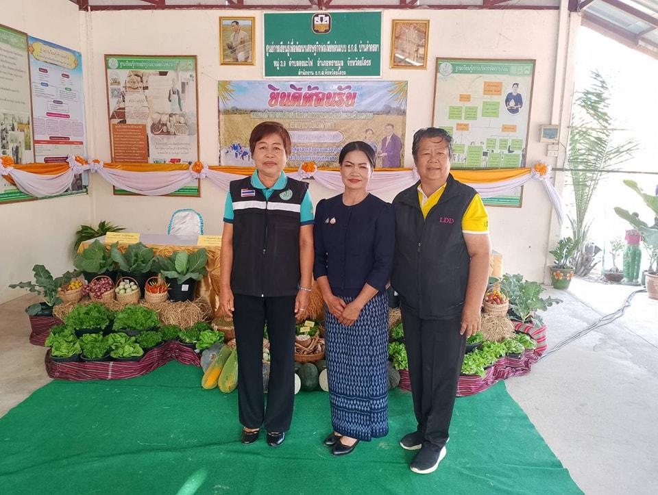 ภาพประกอบที่ 7