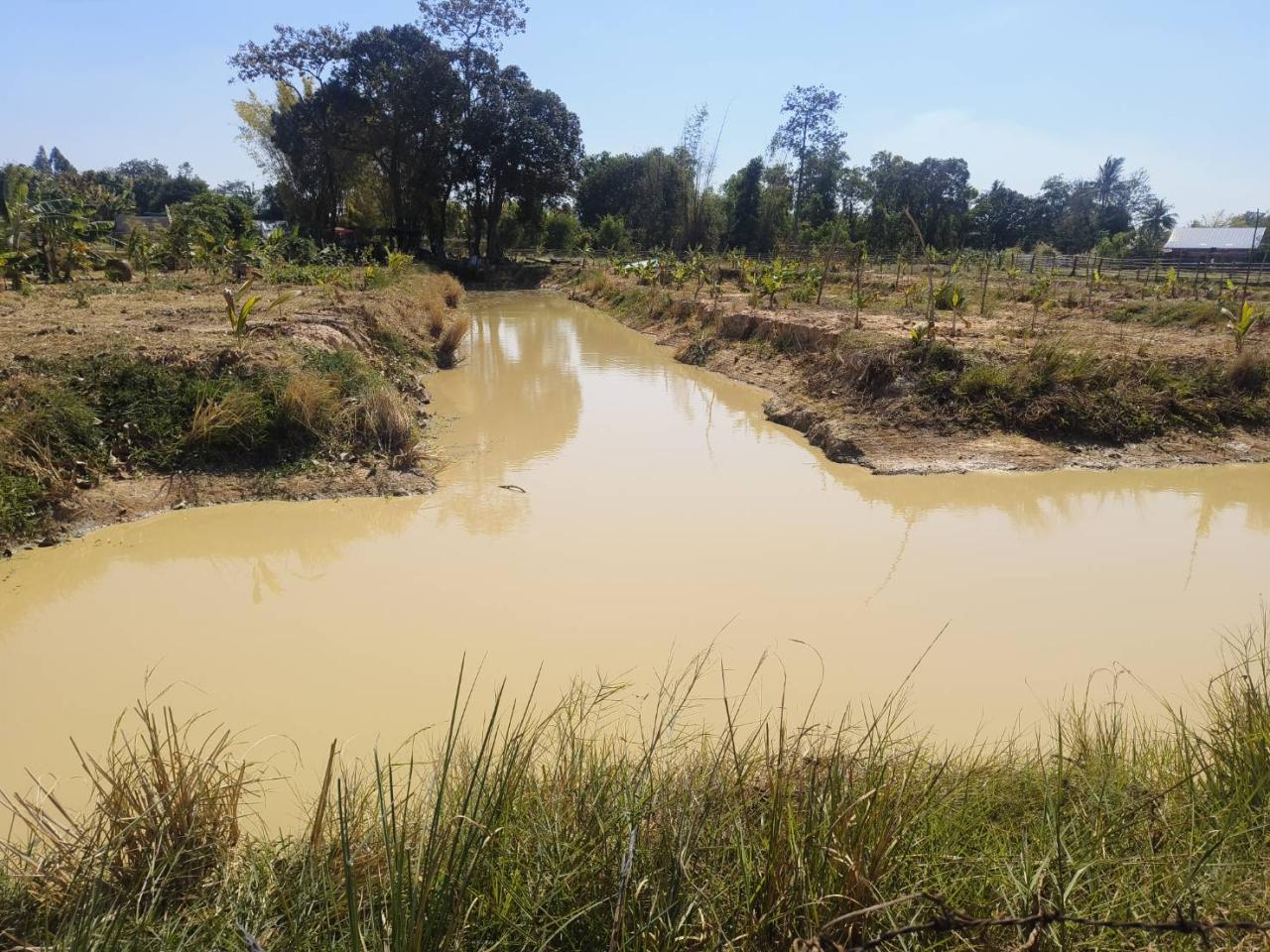 ภาพประกอบที่ 8