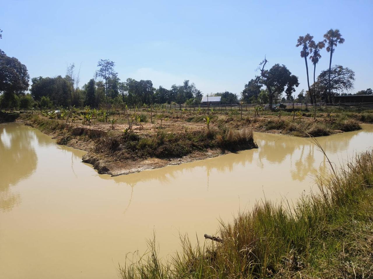 ภาพประกอบที่ 9