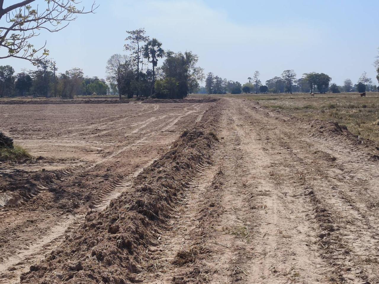 ภาพประกอบที่ 13