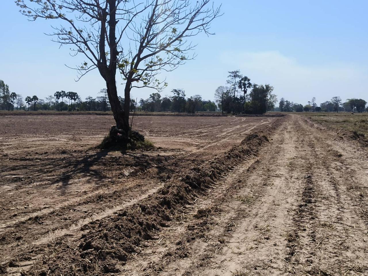 ภาพประกอบที่ 14