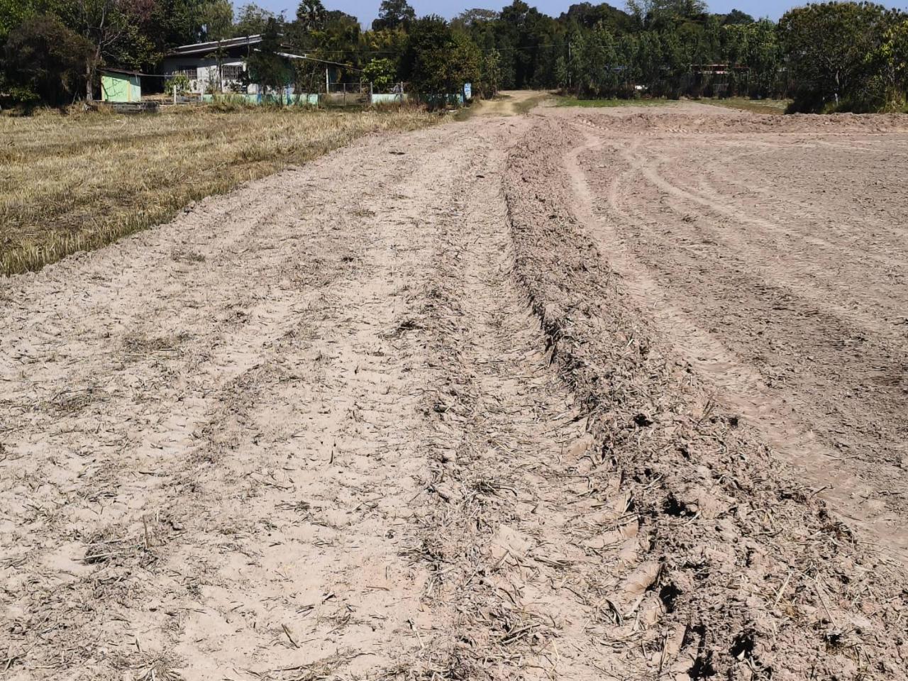 ภาพประกอบที่ 15