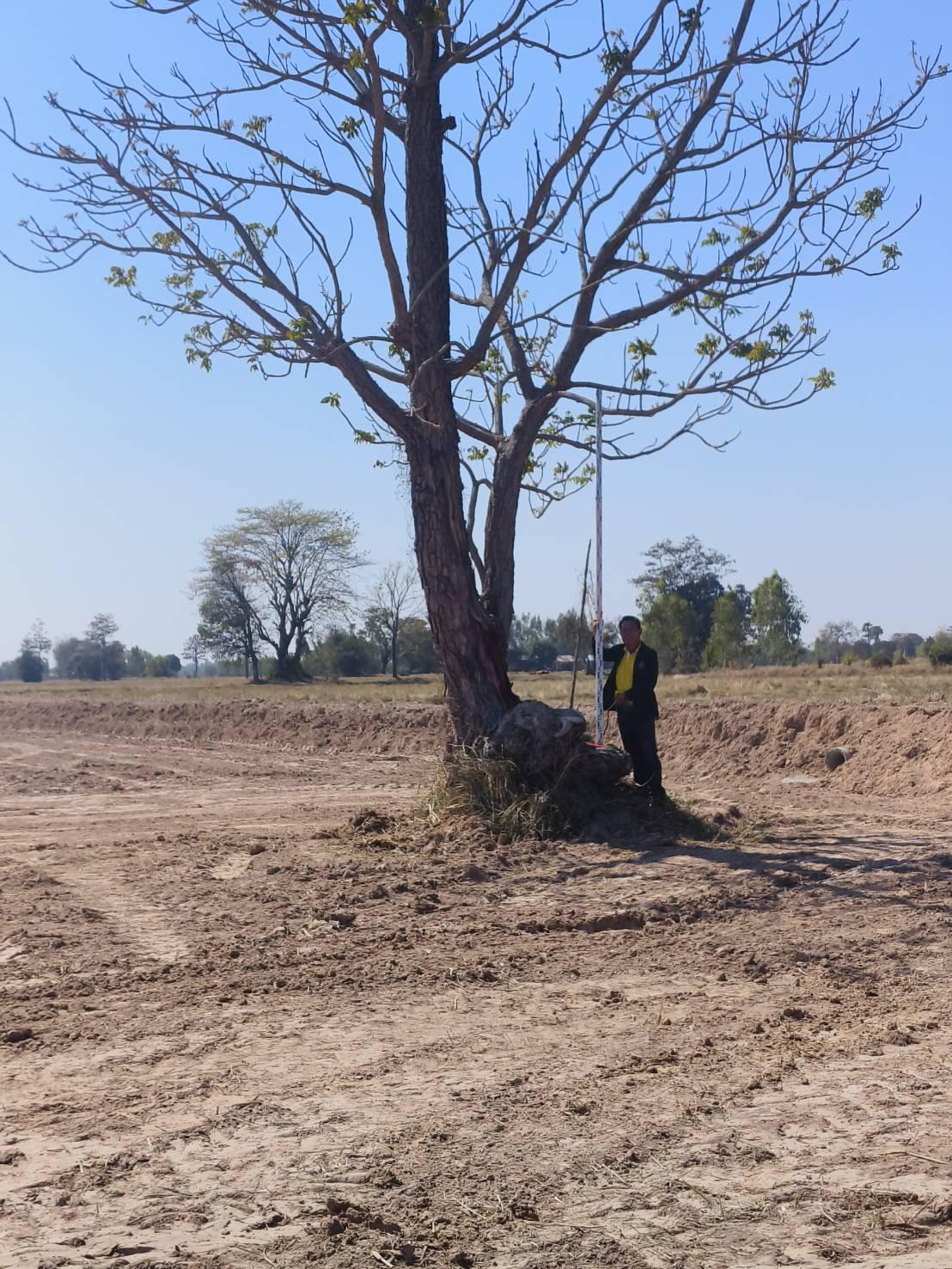 ภาพประกอบที่ 21