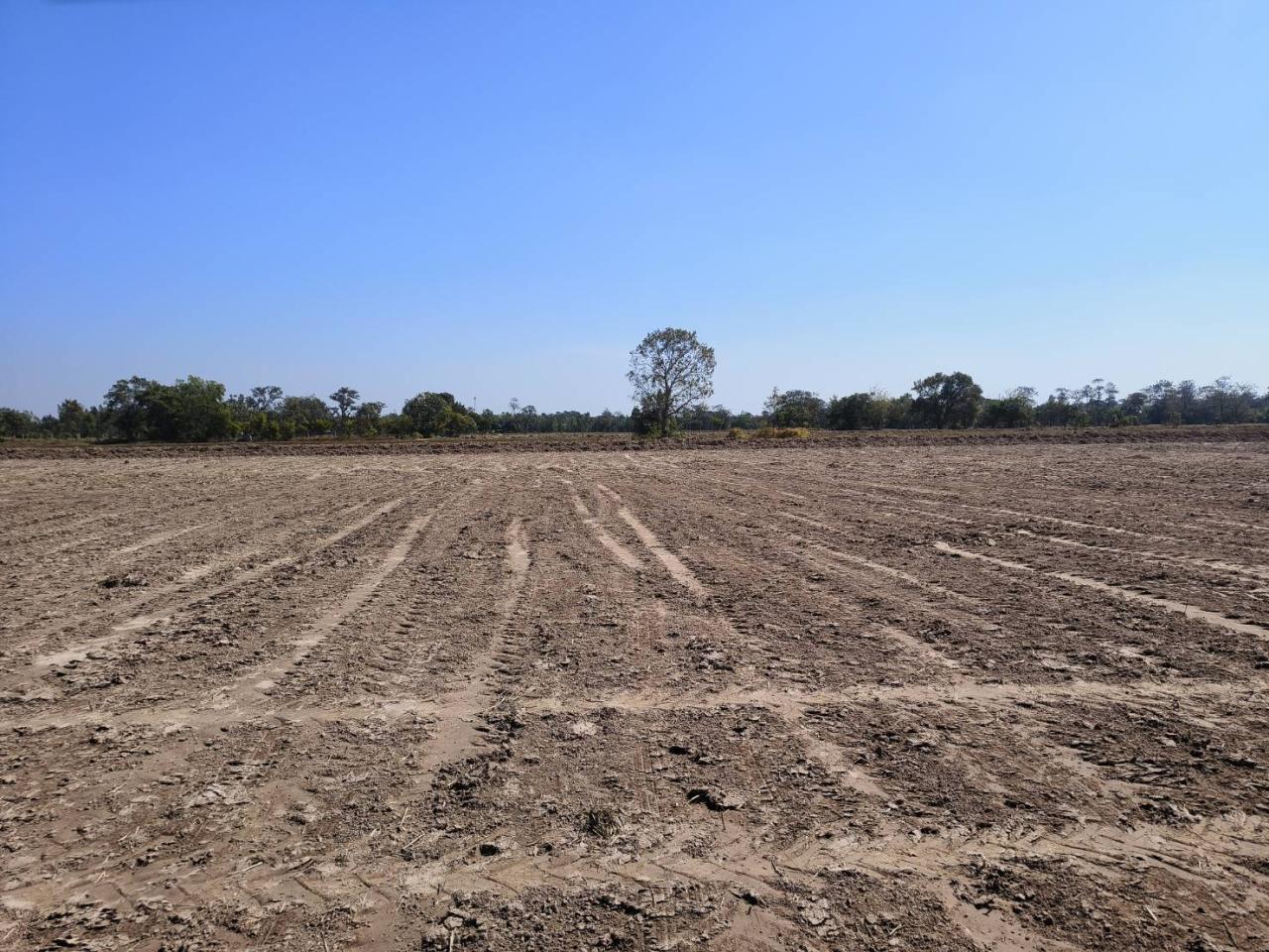 ภาพประกอบที่ 23