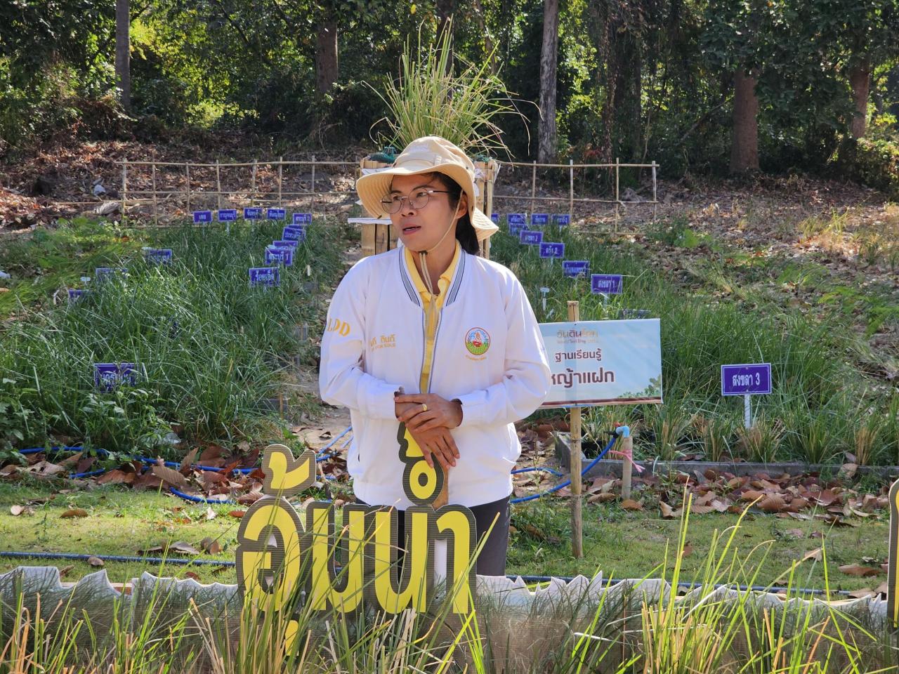 ภาพประกอบที่ 0