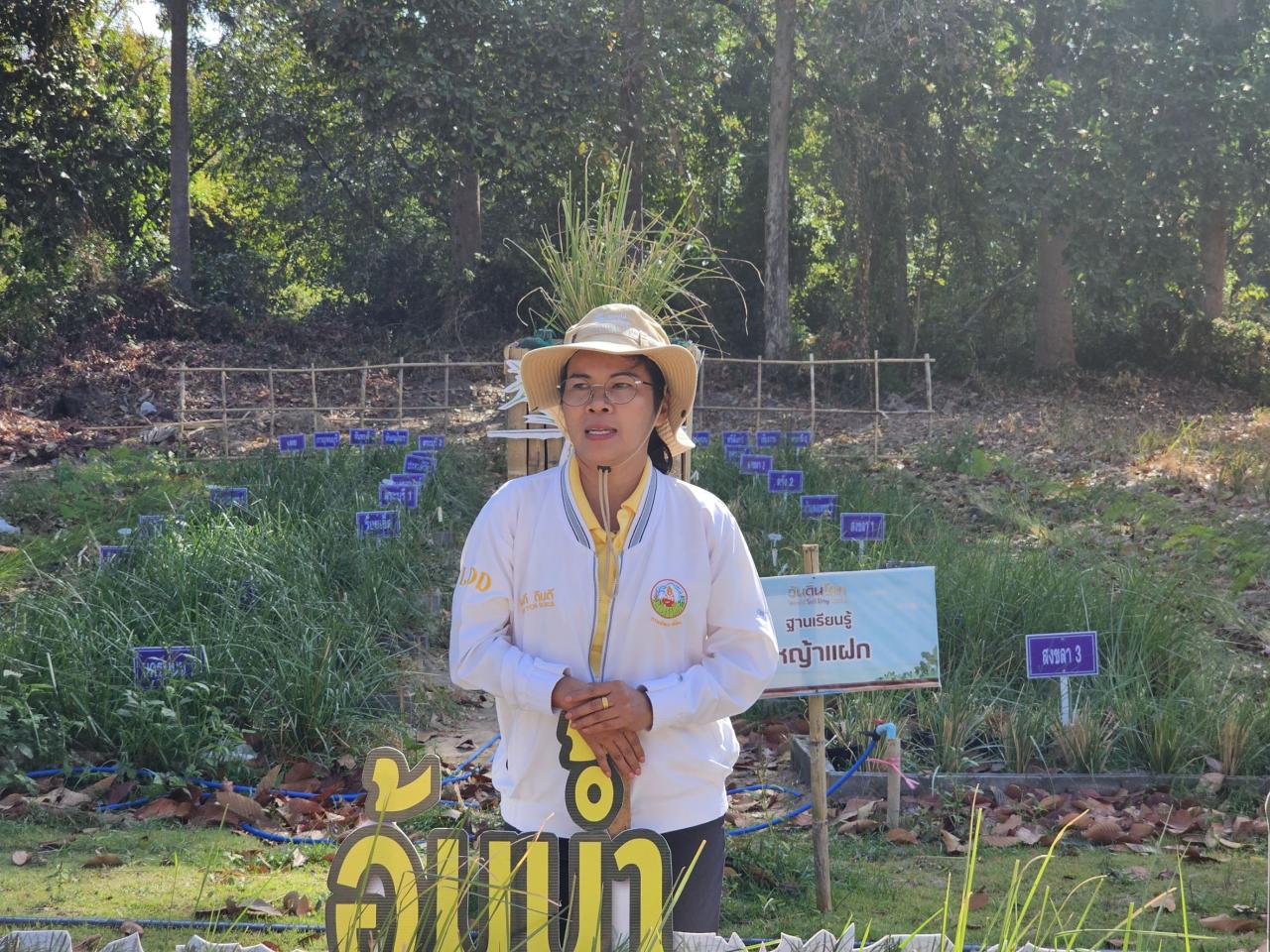 ภาพประกอบที่ 1