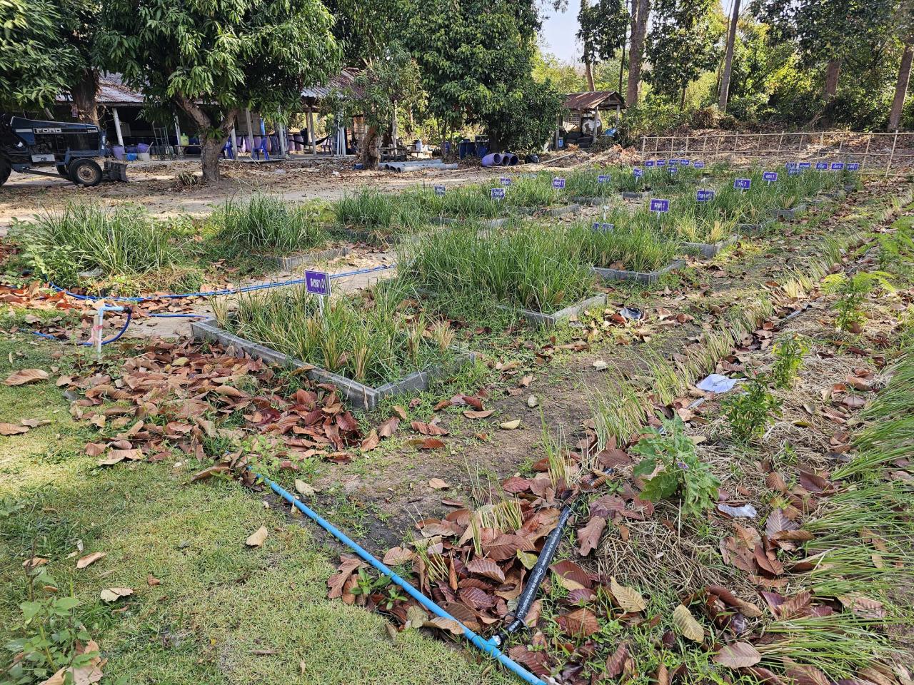 ภาพประกอบที่ 6