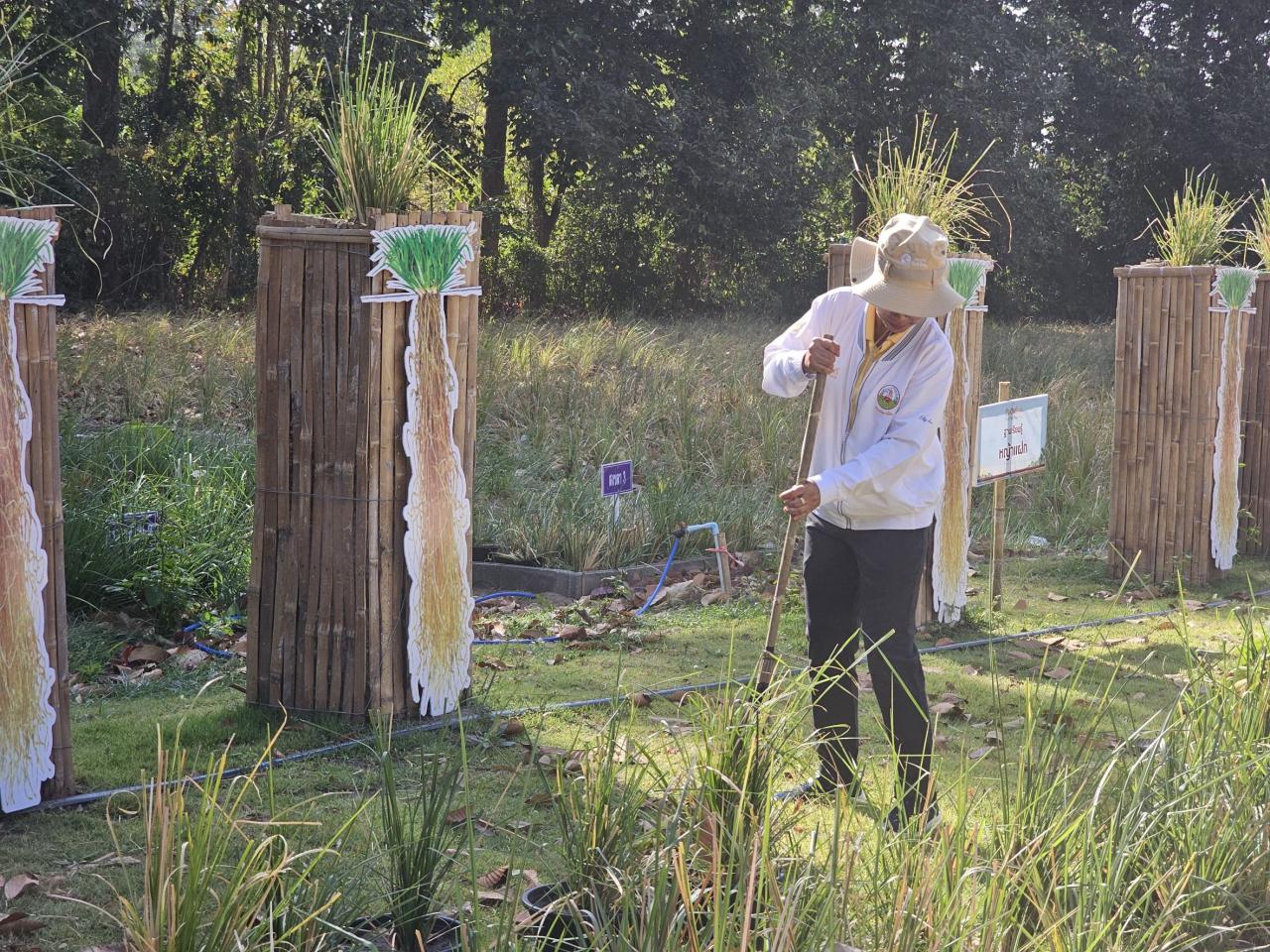 ภาพประกอบที่ 8