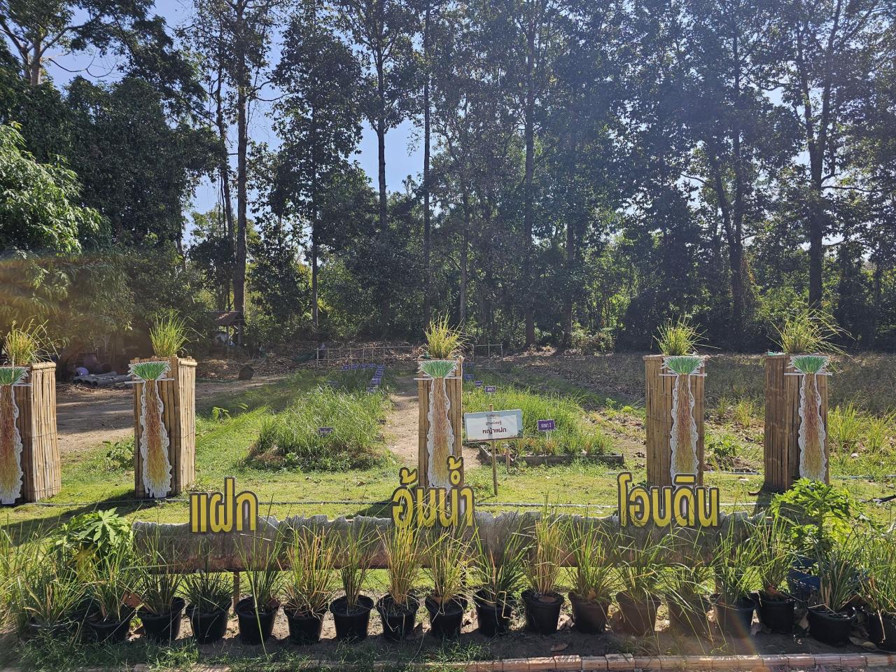 ภาพประกอบที่ 12