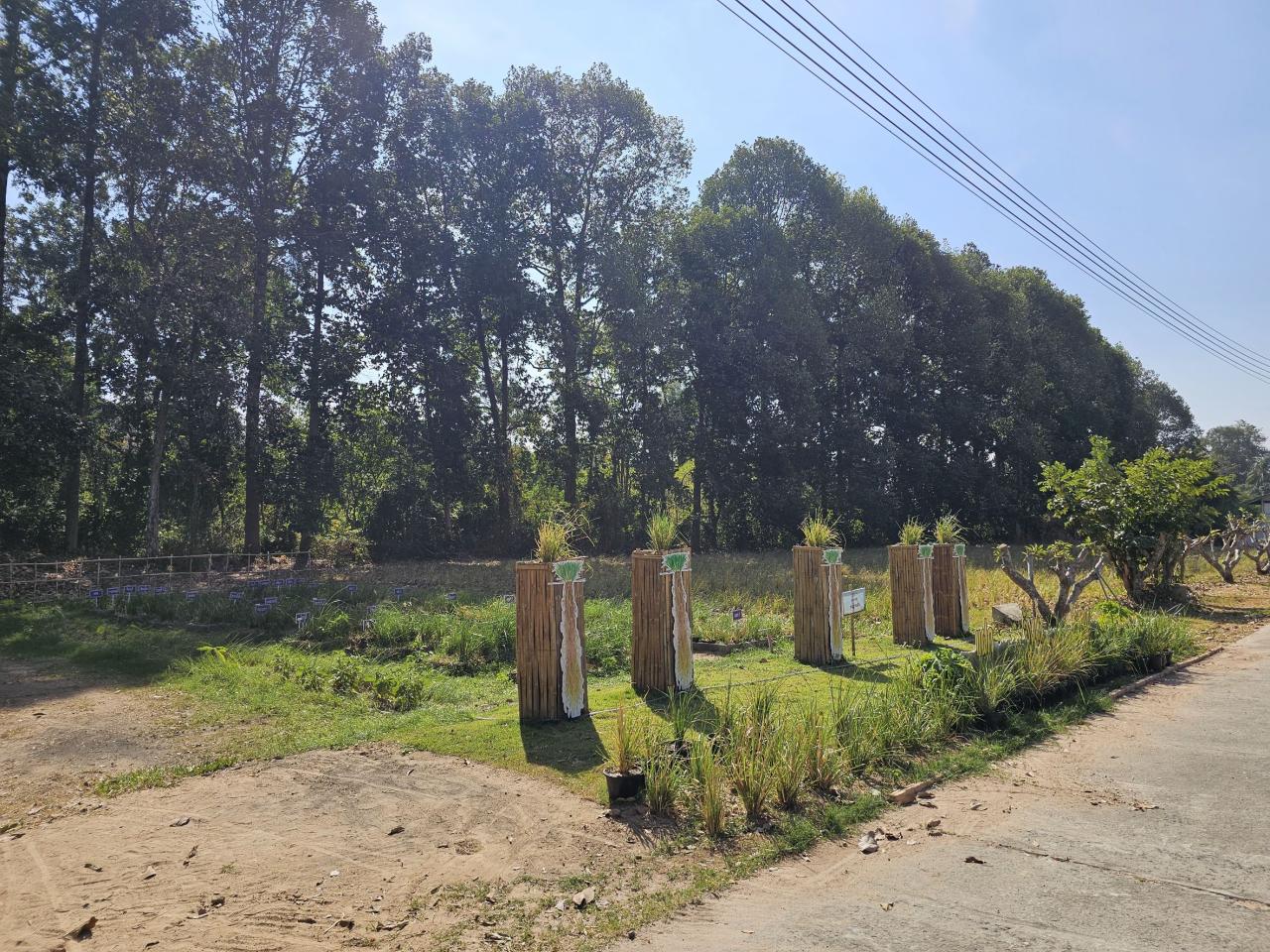 ภาพประกอบที่ 13