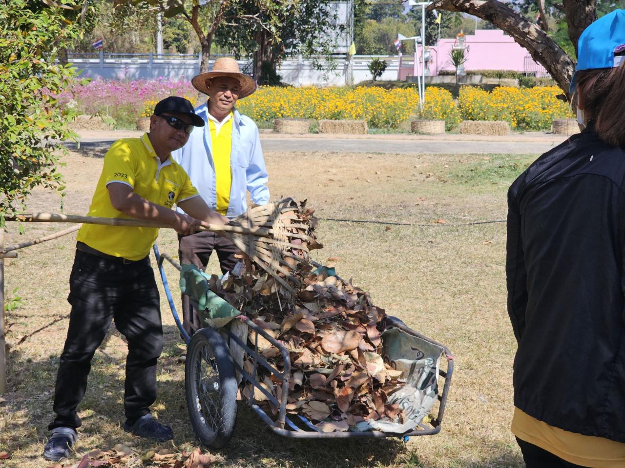 ภาพประกอบที่ 15