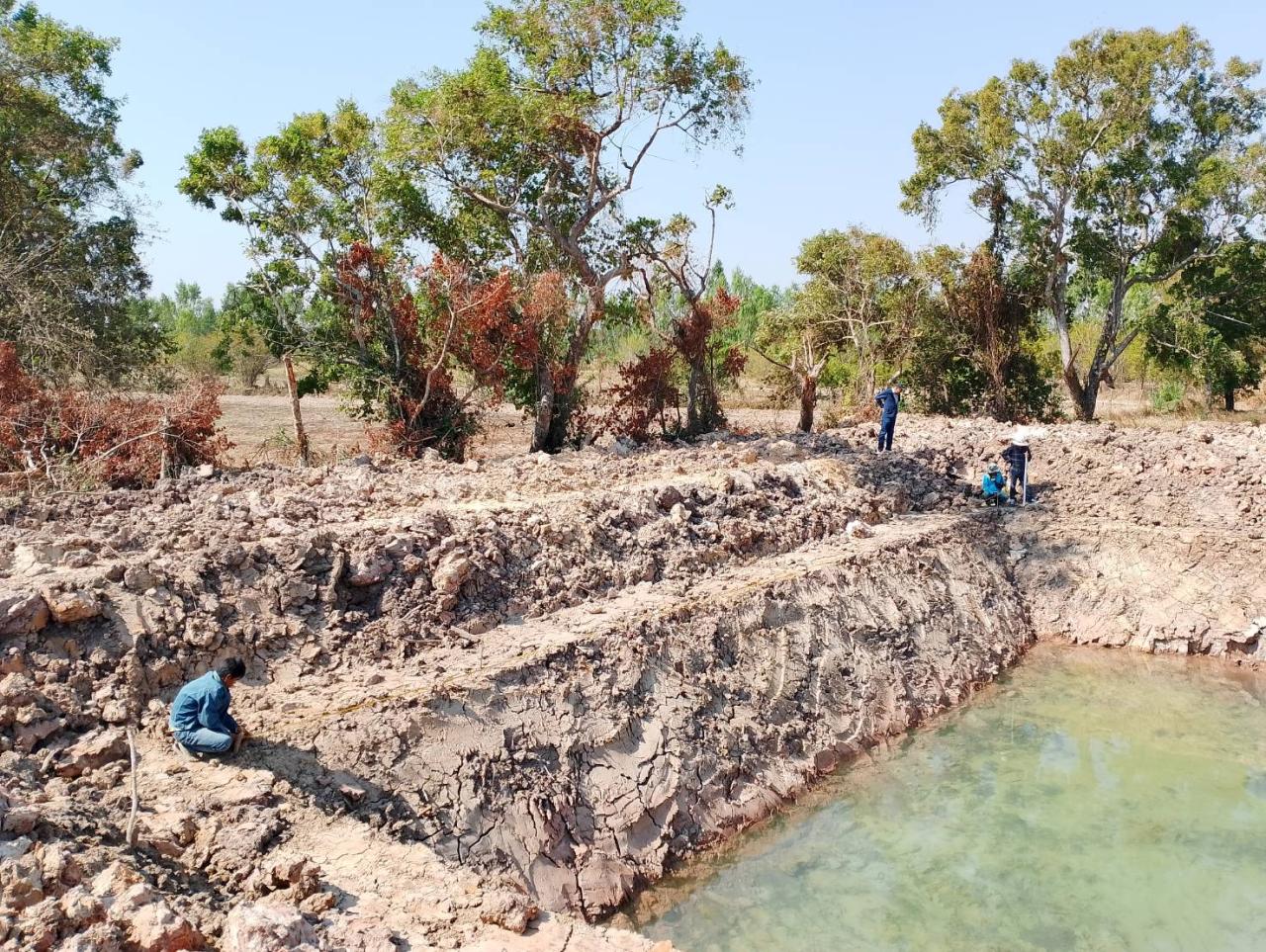 ภาพประกอบที่ 12