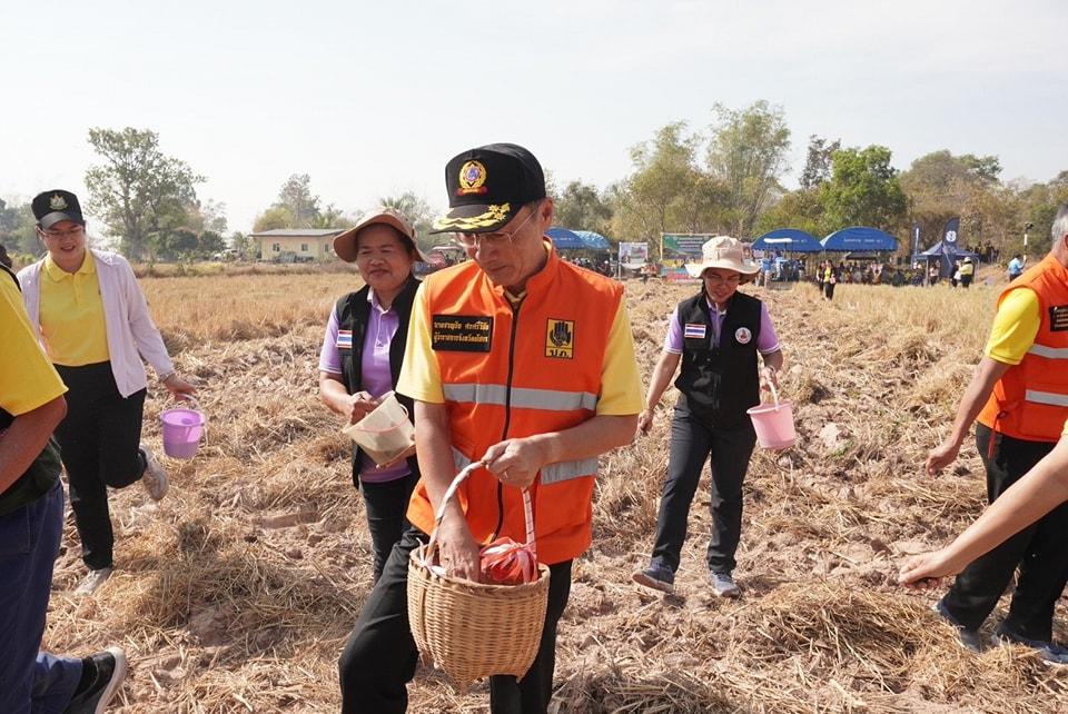 ภาพประกอบที่ 0