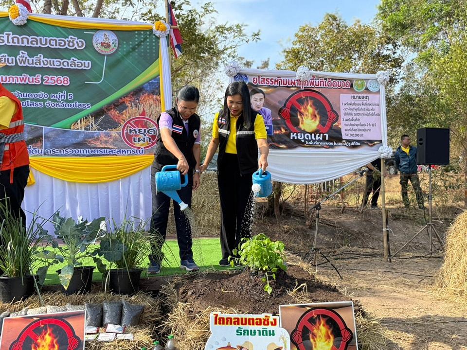 ภาพประกอบที่ 2