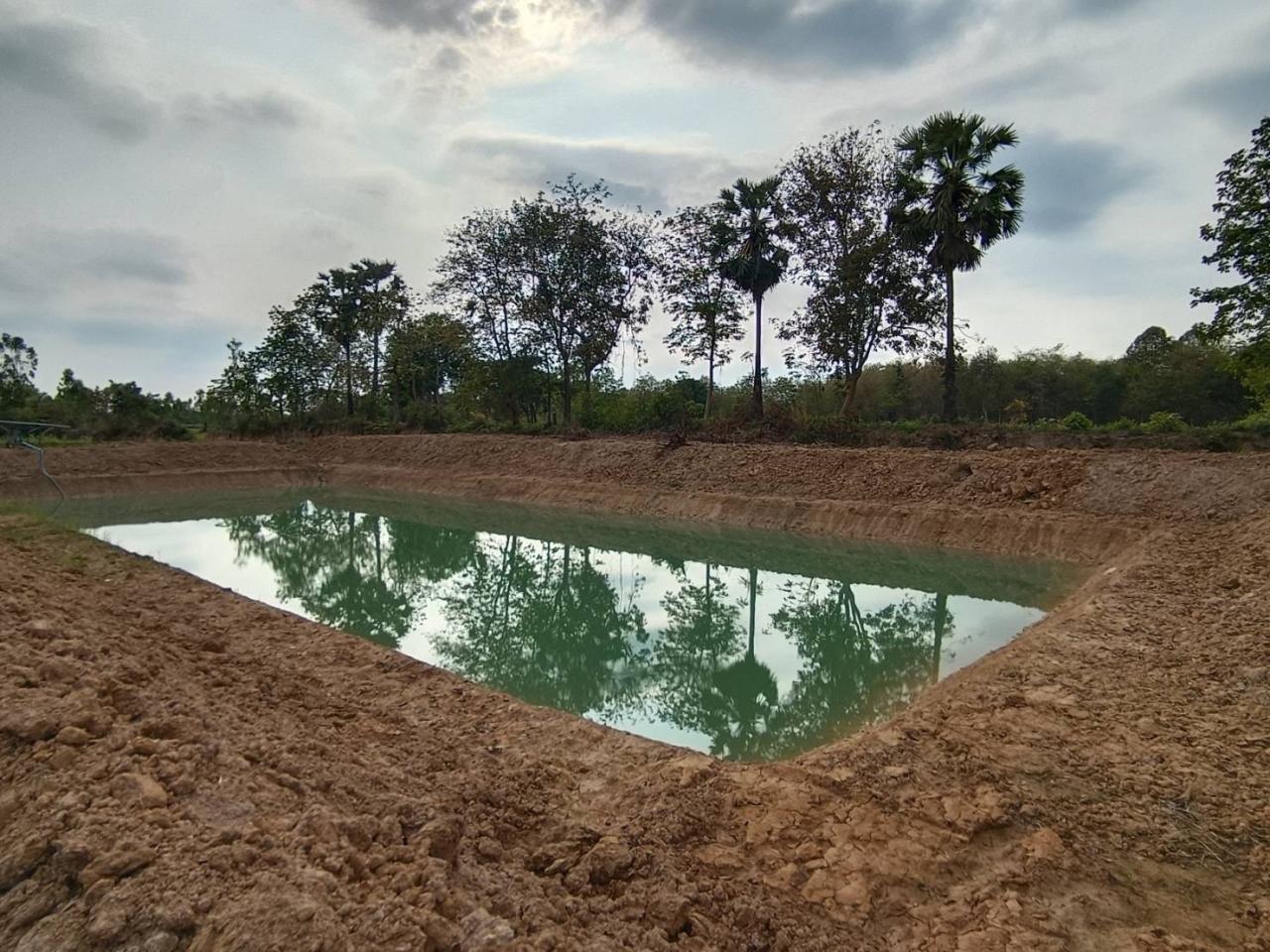 ภาพประกอบที่ 8