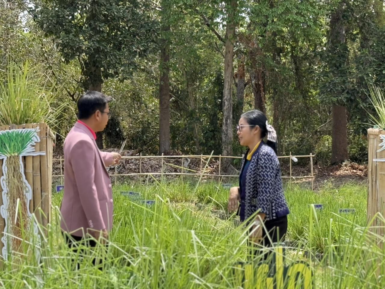 ภาพประกอบที่ 6