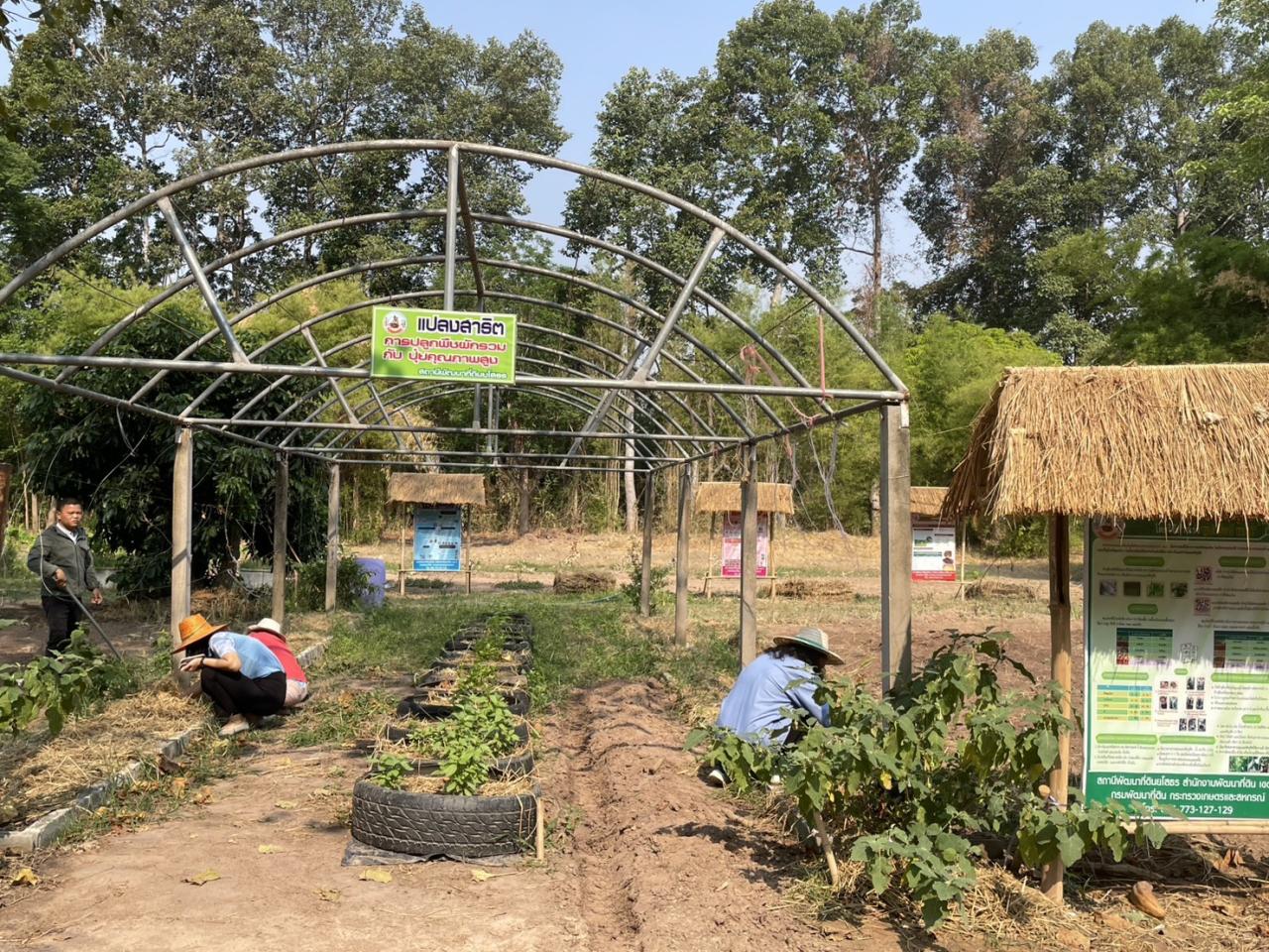 ภาพประกอบที่ 2