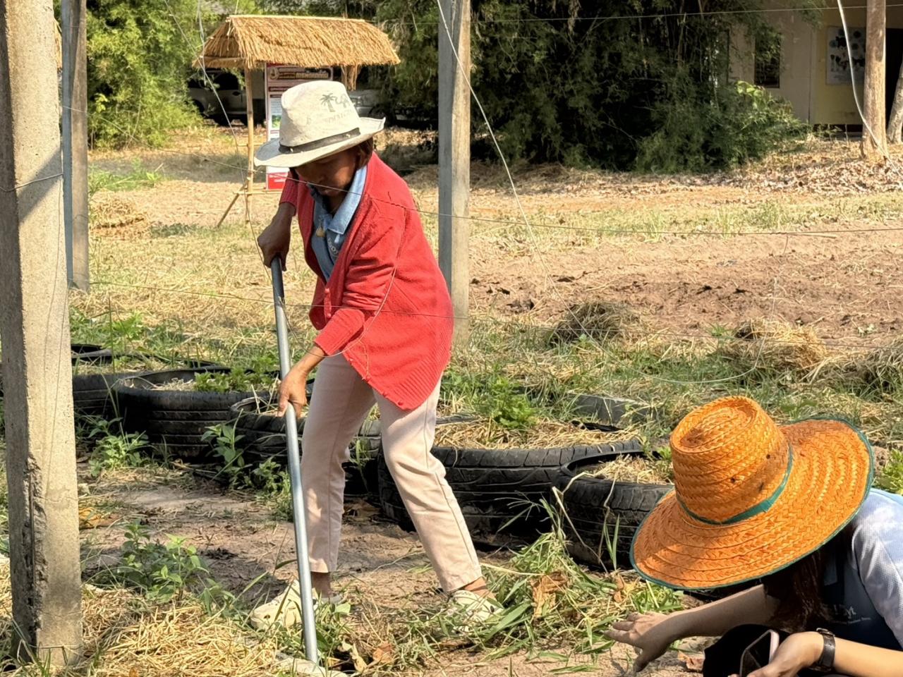 ภาพประกอบที่ 10