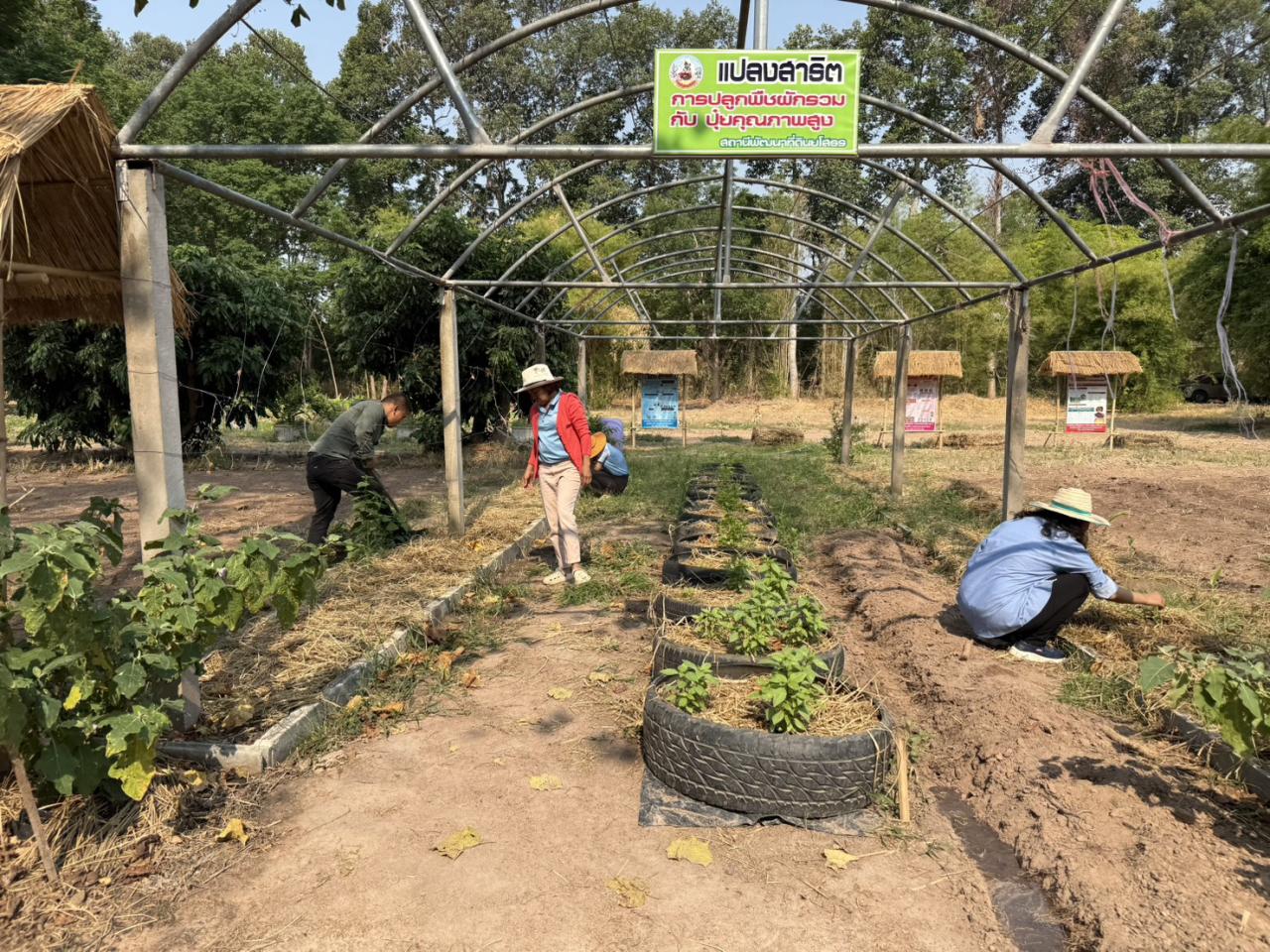 ภาพประกอบที่ 11