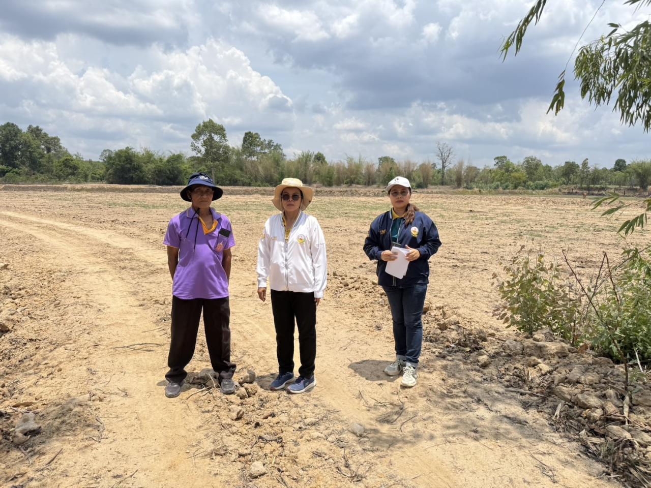 ภาพประกอบที่ 5