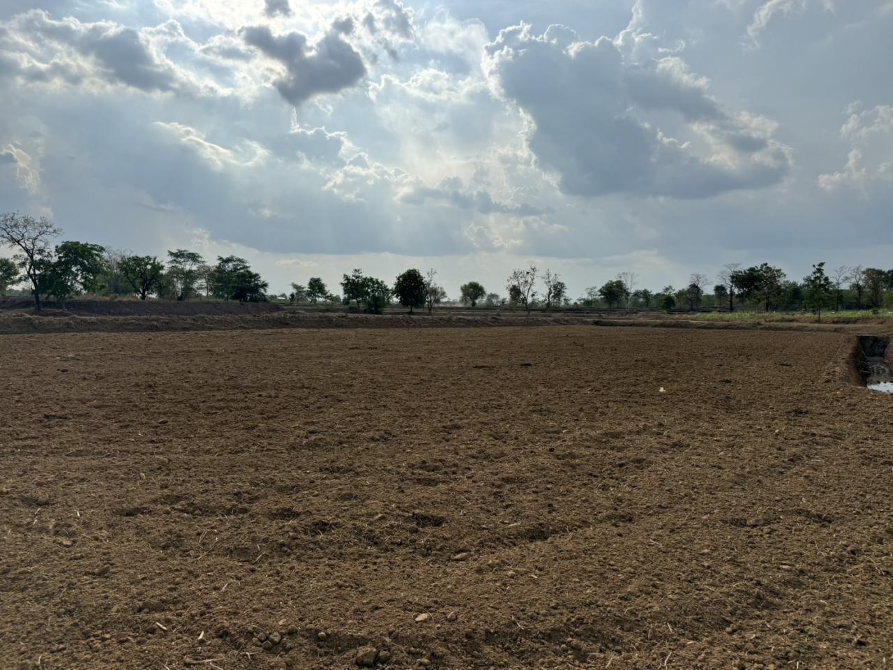 ภาพประกอบที่ 12