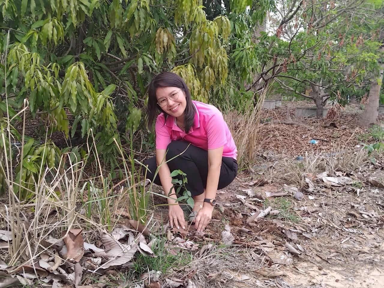 ภาพประกอบที่ 0