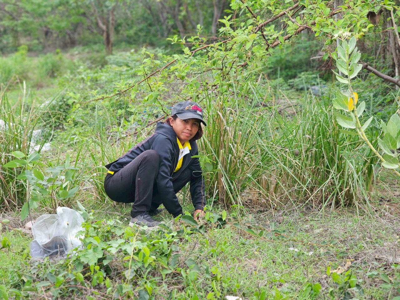 ภาพประกอบที่ 4