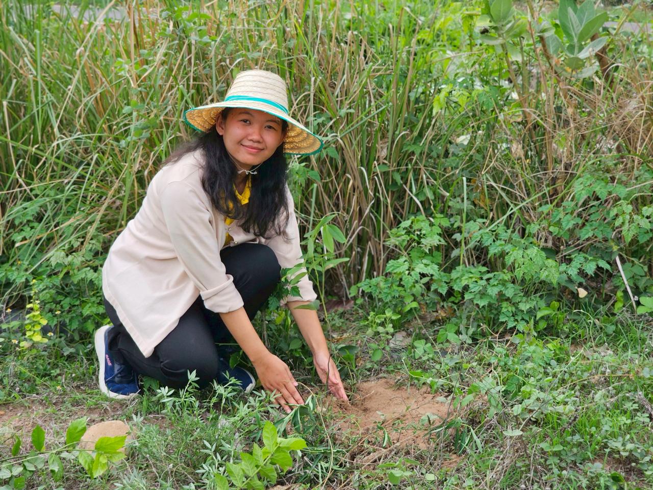 ภาพประกอบที่ 5