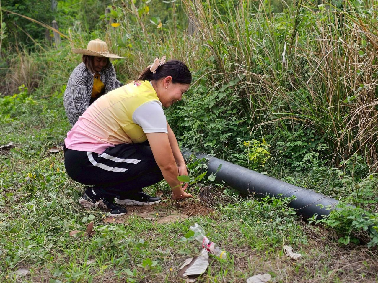 ภาพประกอบที่ 8
