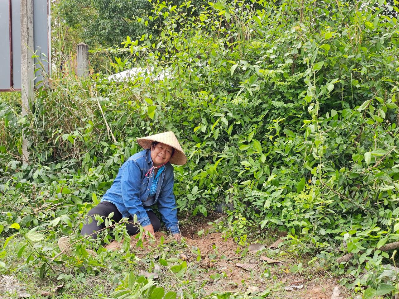 ภาพประกอบที่ 11