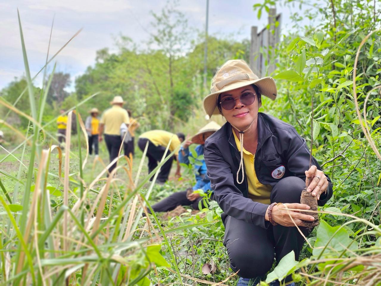 ภาพประกอบที่ 13