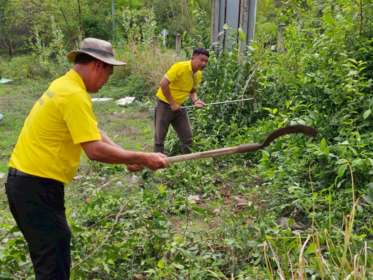 ภาพประกอบที่ 15