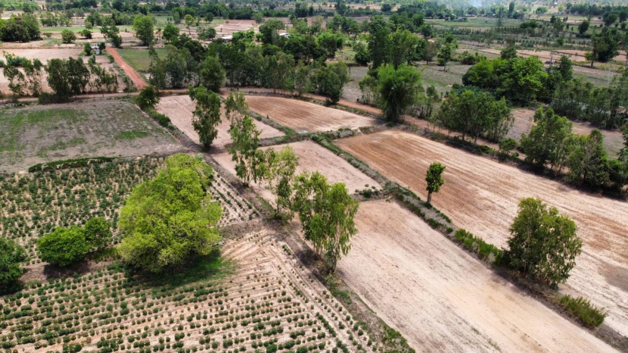 ภาพประกอบที่ 5