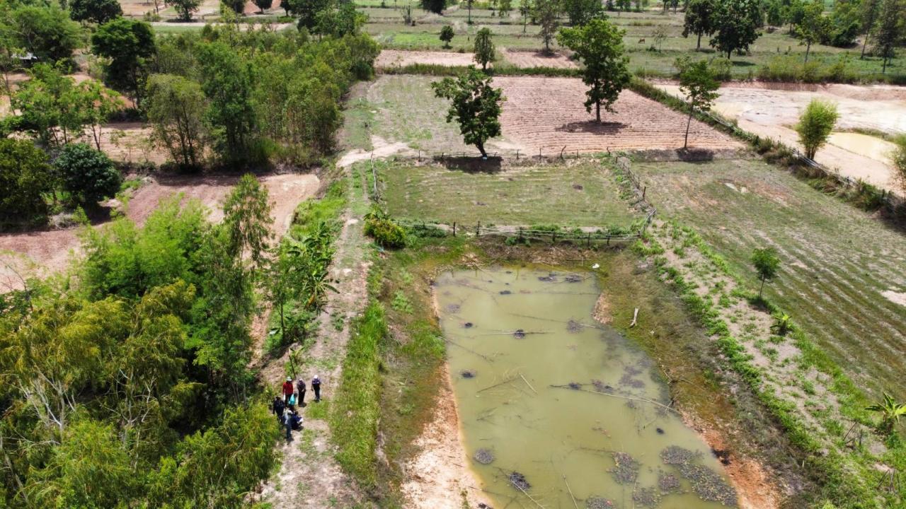 ภาพประกอบที่ 8