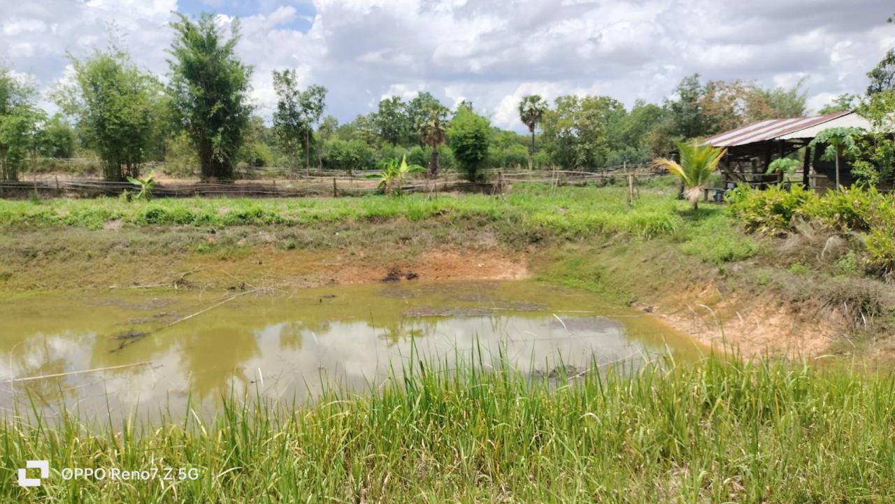 ภาพประกอบที่ 11