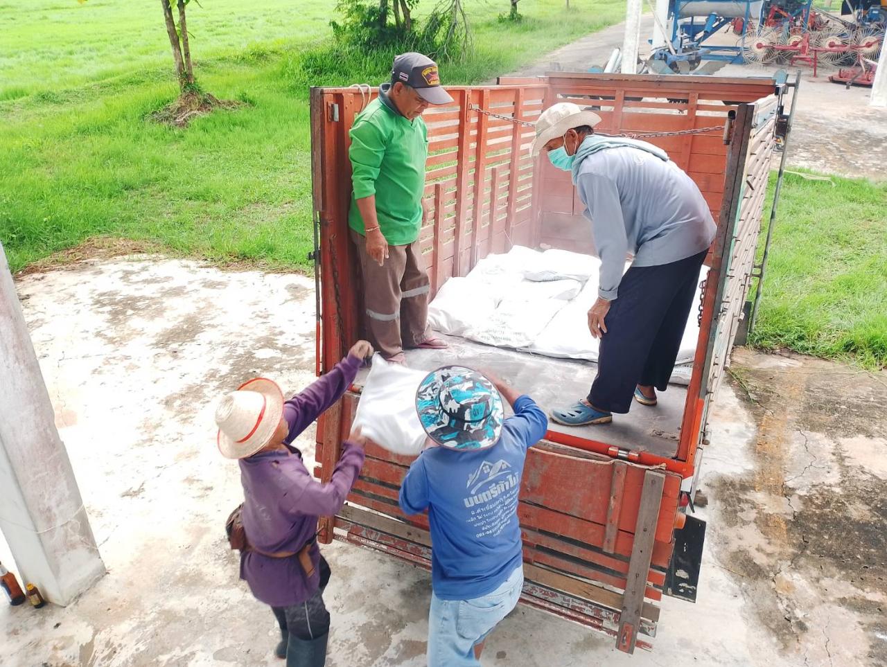 ภาพประกอบที่ 12