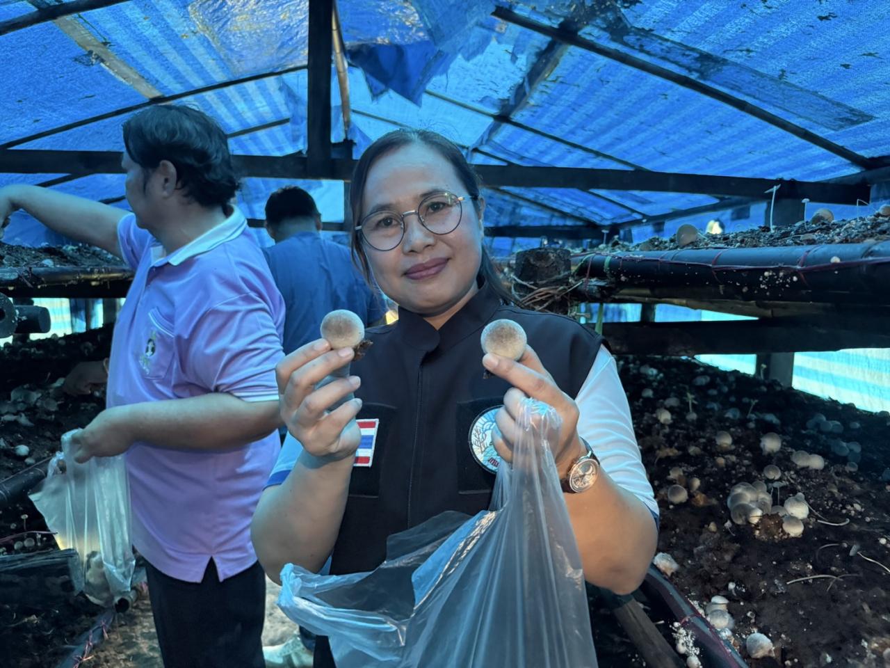 ภาพประกอบที่ 0